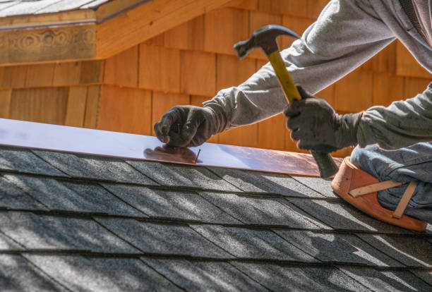 Best Roof Leak Repair  in Brundidge, AL