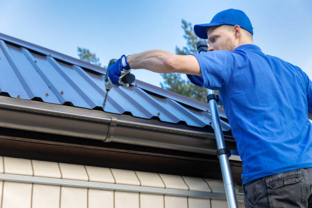 Best Roof Moss and Algae Removal  in Brundidge, AL