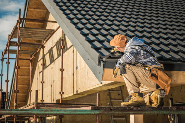 Best Roof Installation  in Brundidge, AL