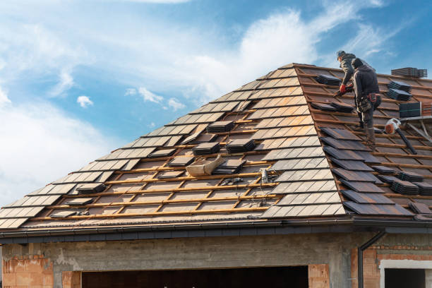 Best Roofing for New Construction  in Brundidge, AL