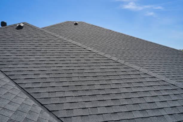 Best Roof Leak Repair  in Brundidge, AL